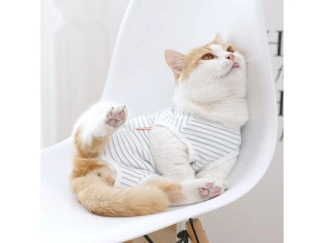 Cotton Blue And White Striped Surgical Gown Pets Qatar