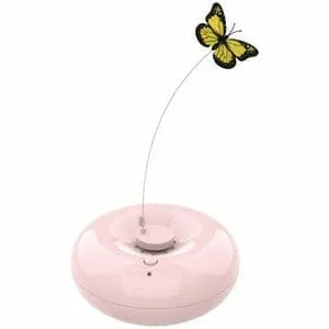 CRAZY Butterfly Pink Pets Qatar