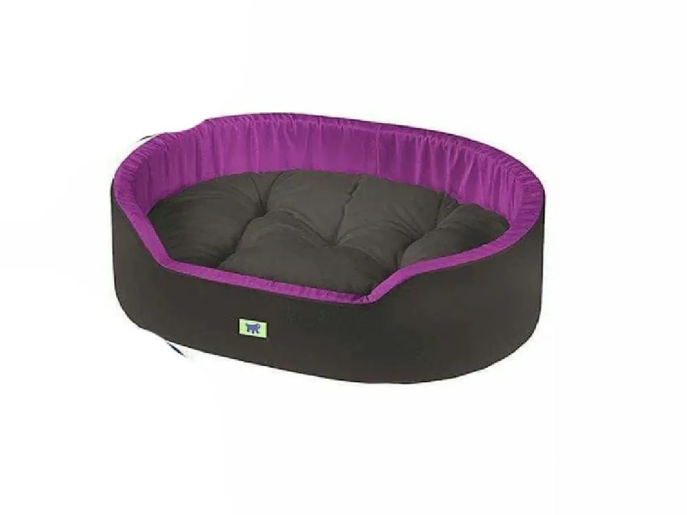 DANDY 55 CUS. BLU-ROSSO-VIOLA Pets Qatar