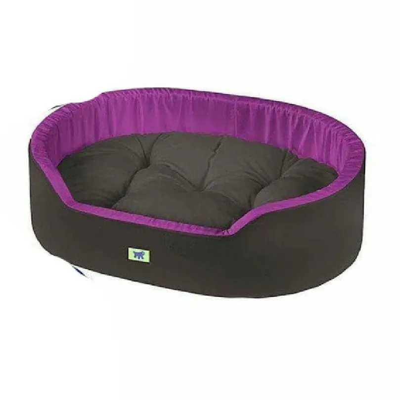 DANDY 65 CUS. BLU-ROSSO-VIOLA Pets Qatar