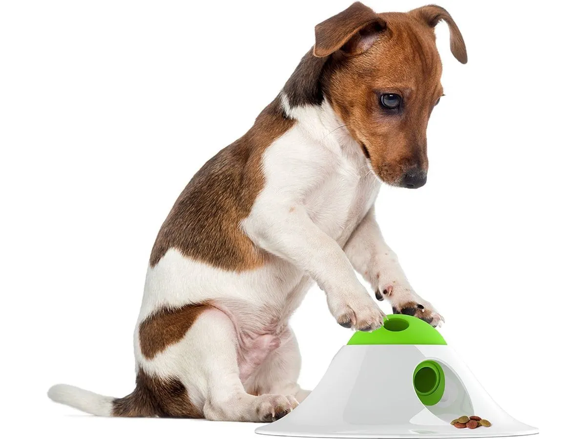 Dogtoy Spin `N Snack Puzzle 25cm Pets Qatar
