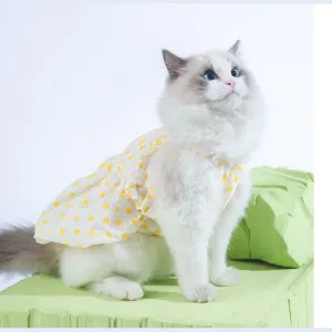 Dotted Tutu Yellow Pets Qatar