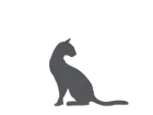 Dr Seidel-Malt Paste With Taurine - Prevents The Formation Of Hairballs 75 Ml Pets Qatar