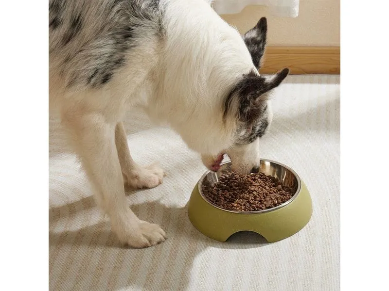 Eco Bamboo Bowl Olive 600ml Pets Qatar