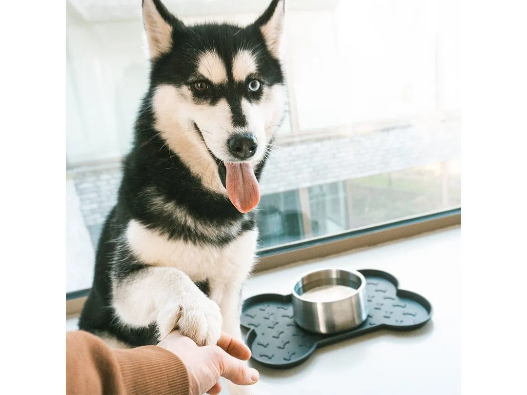 ECO placemat bone 46,8x33x,2,5cm black Pets Qatar
