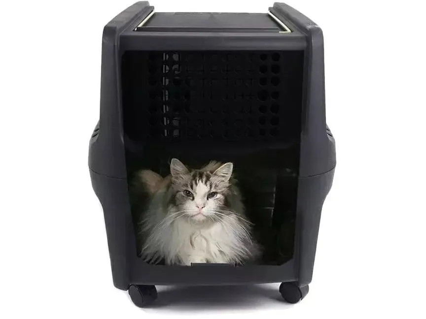 Eco Trek Travel Carrier Pets Qatar