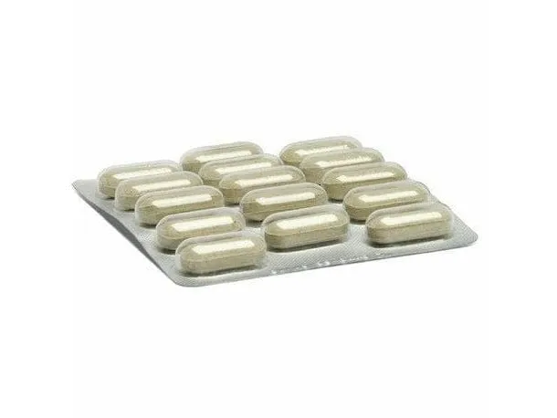 Enterosalus 2,5Gr 20 Pouches Pets Qatar