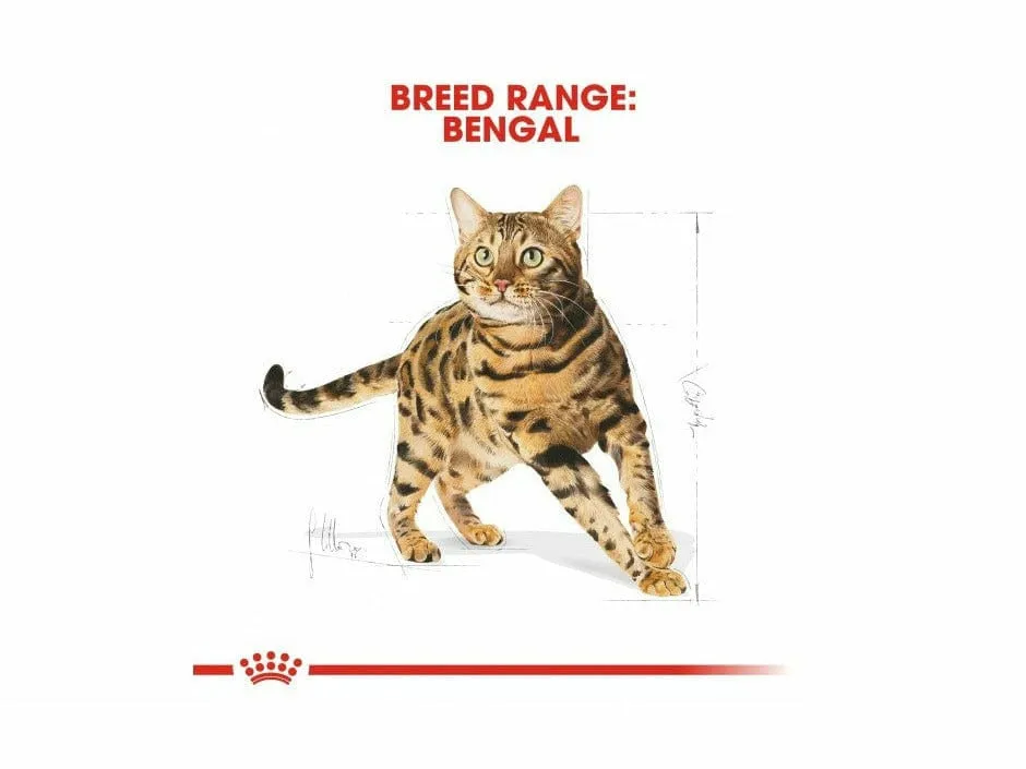 Feline Breed Nutrition Bengal Adult 2 KG Pets Qatar