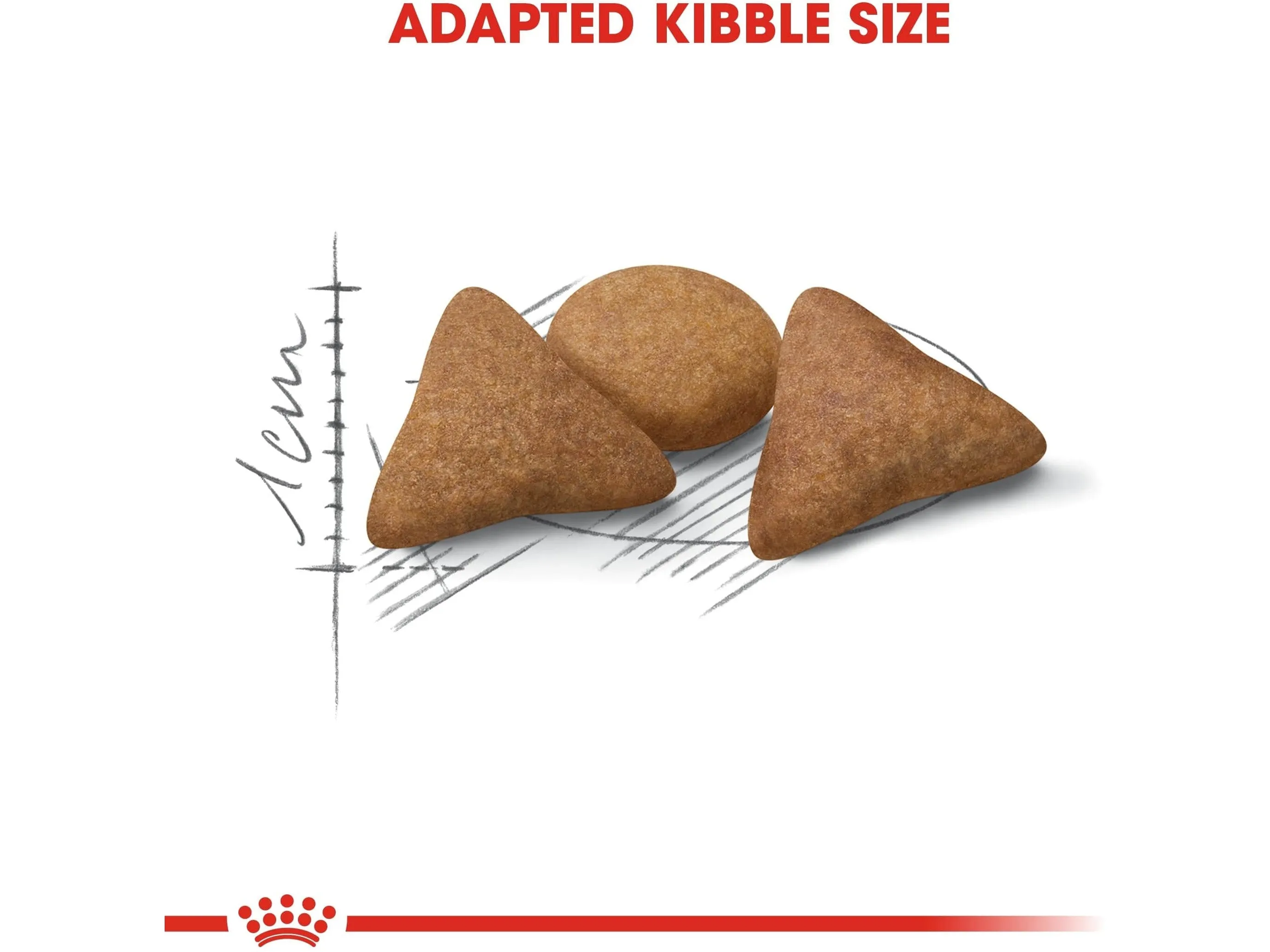 Feline Health Nutrition Indoor Appetite Control 2 KG Pets Qatar