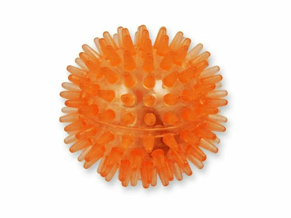 Flash Ball - Orange Pets Qatar