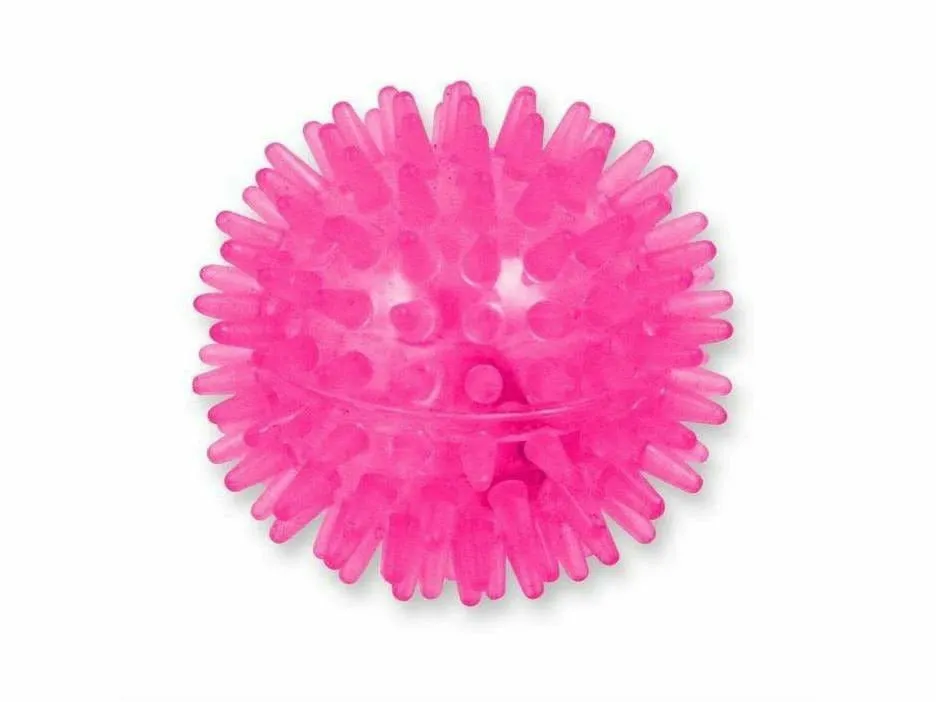 Flash Ball - Pink Pets Qatar