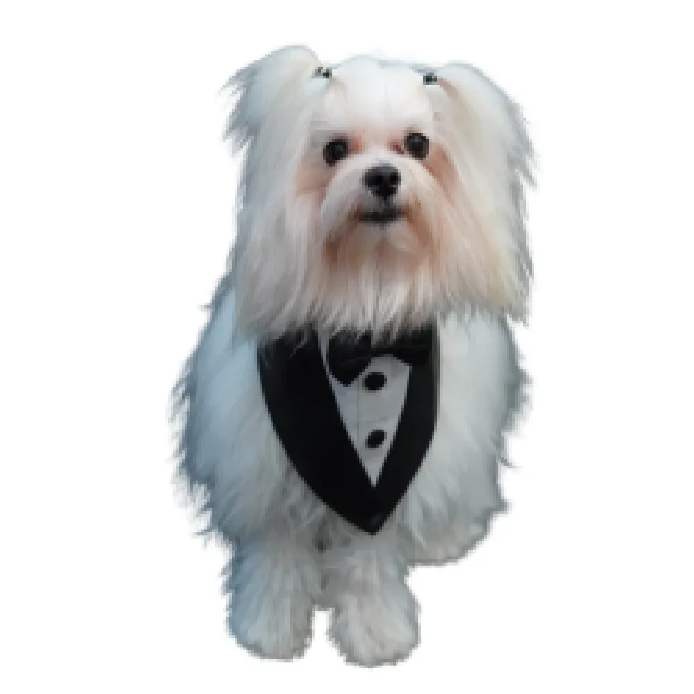 Floof & Co Tux Bandana for Dogs (White & Black)