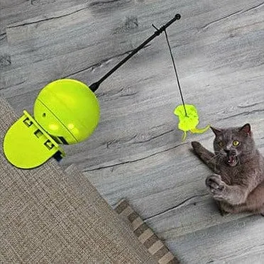 Foxy Magic Ball  lime Pets Qatar