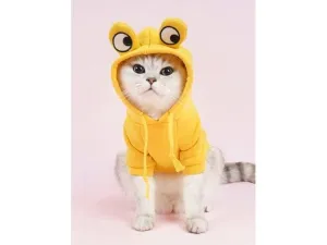 Frog Clothes Yellow Pets Qatar