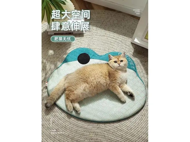 Froggy Shaped Cushion (Blue-Green) L As Photo 49X63cm Pets Qatar