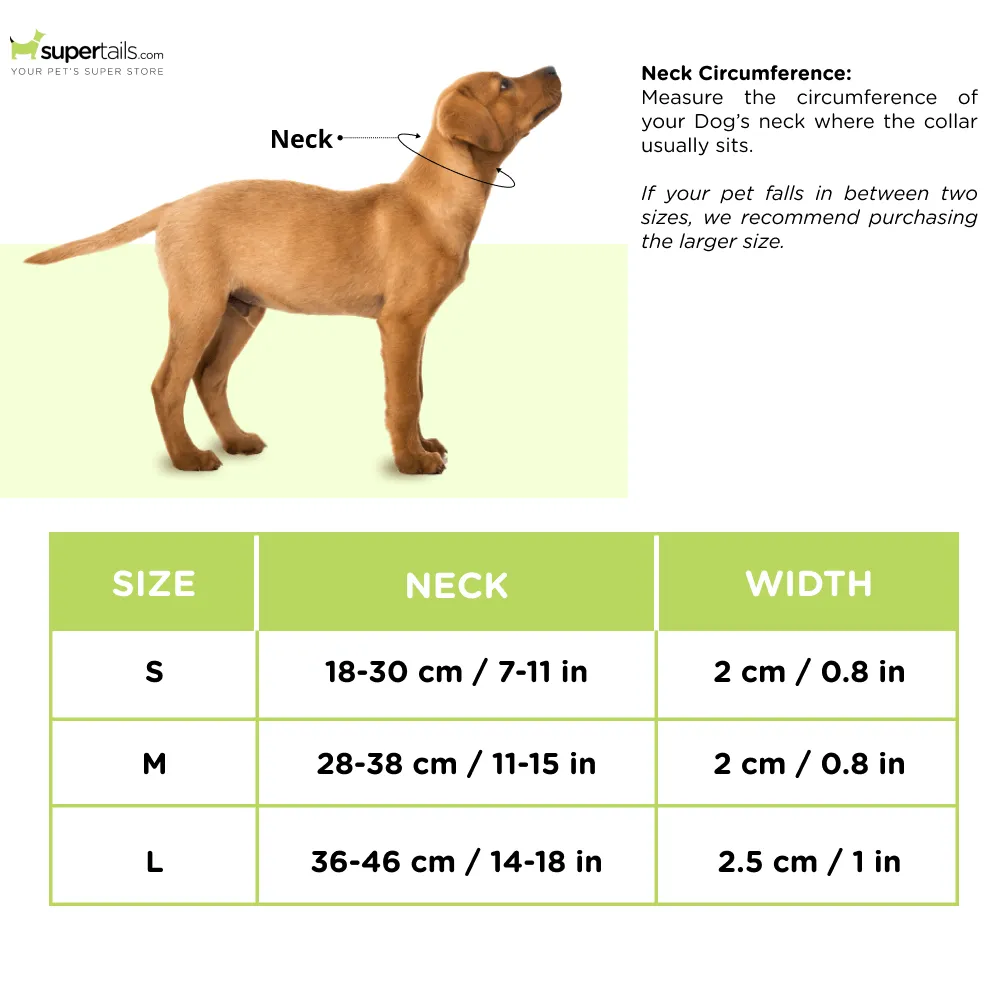 Furry & Co Weatherproof Collar for Dogs (Matcha Latte)
