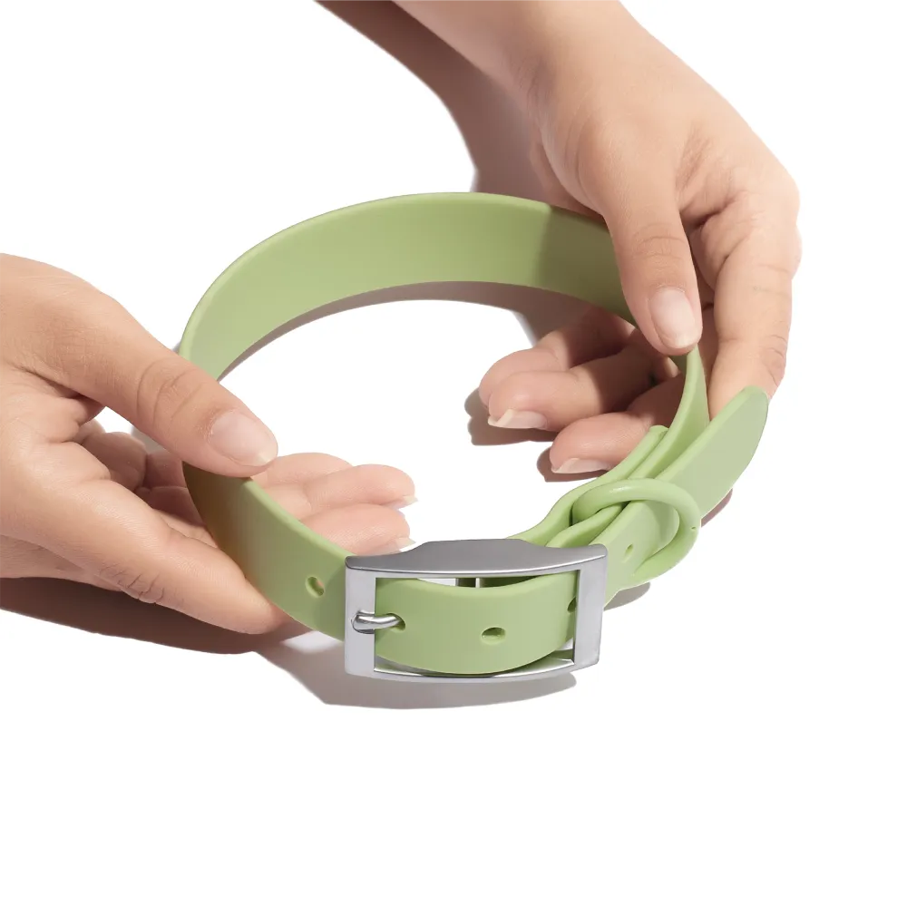 Furry & Co Weatherproof Collar for Dogs (Matcha Latte)
