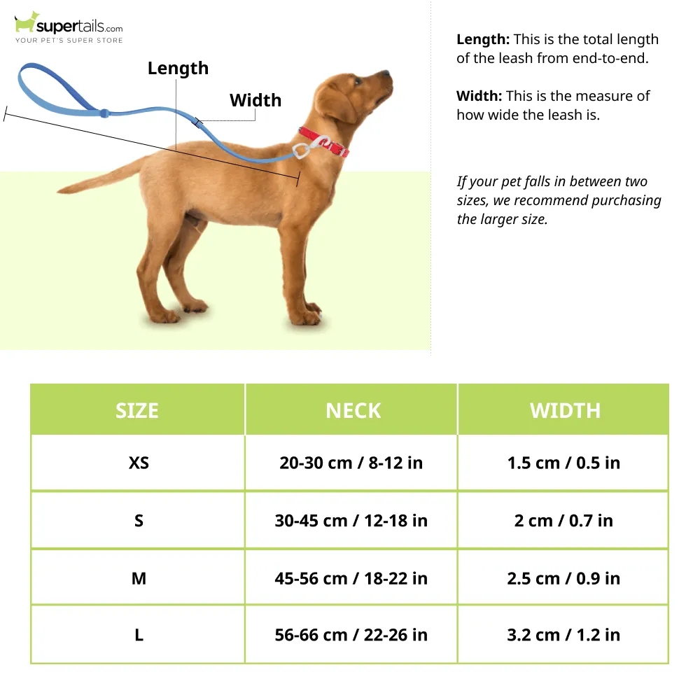 Glucklich Pet Essentials Classic Nylon Collar for Dogs (Black)