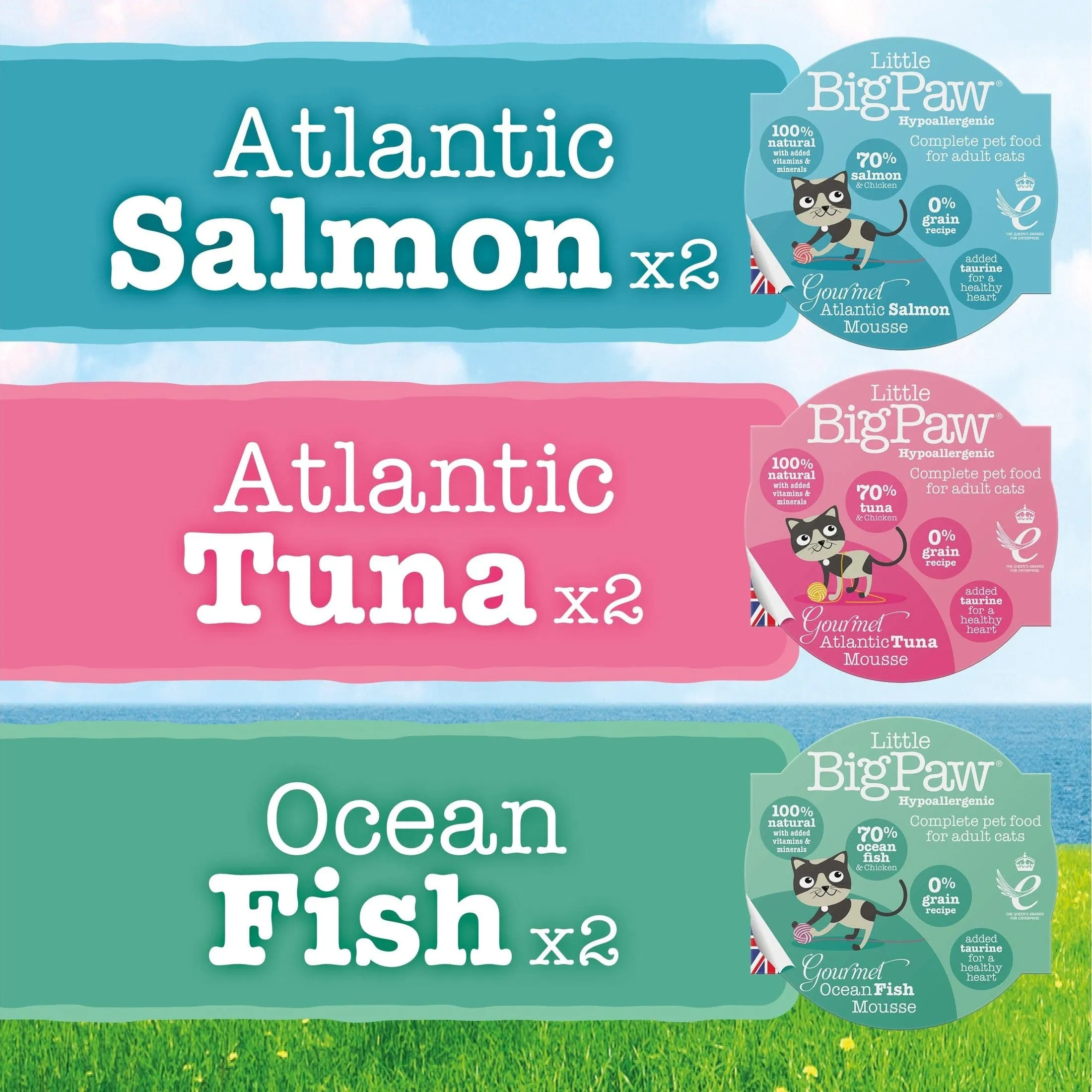 Gourmet Seafood Mousse Selection 6x85gm /Little BigPaw Pets Qatar