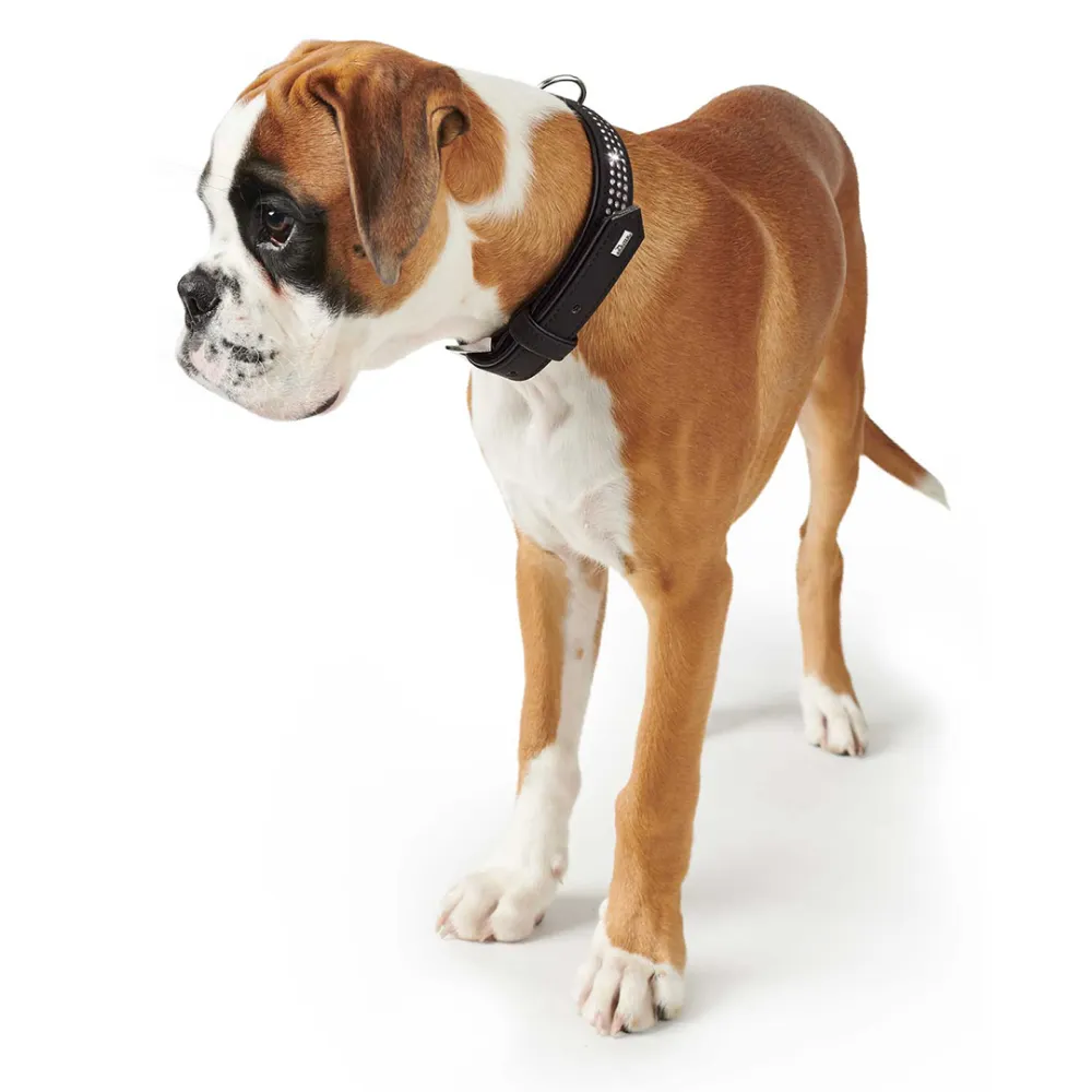 Hunter Softie Triluxe Collar for Dogs (Black)