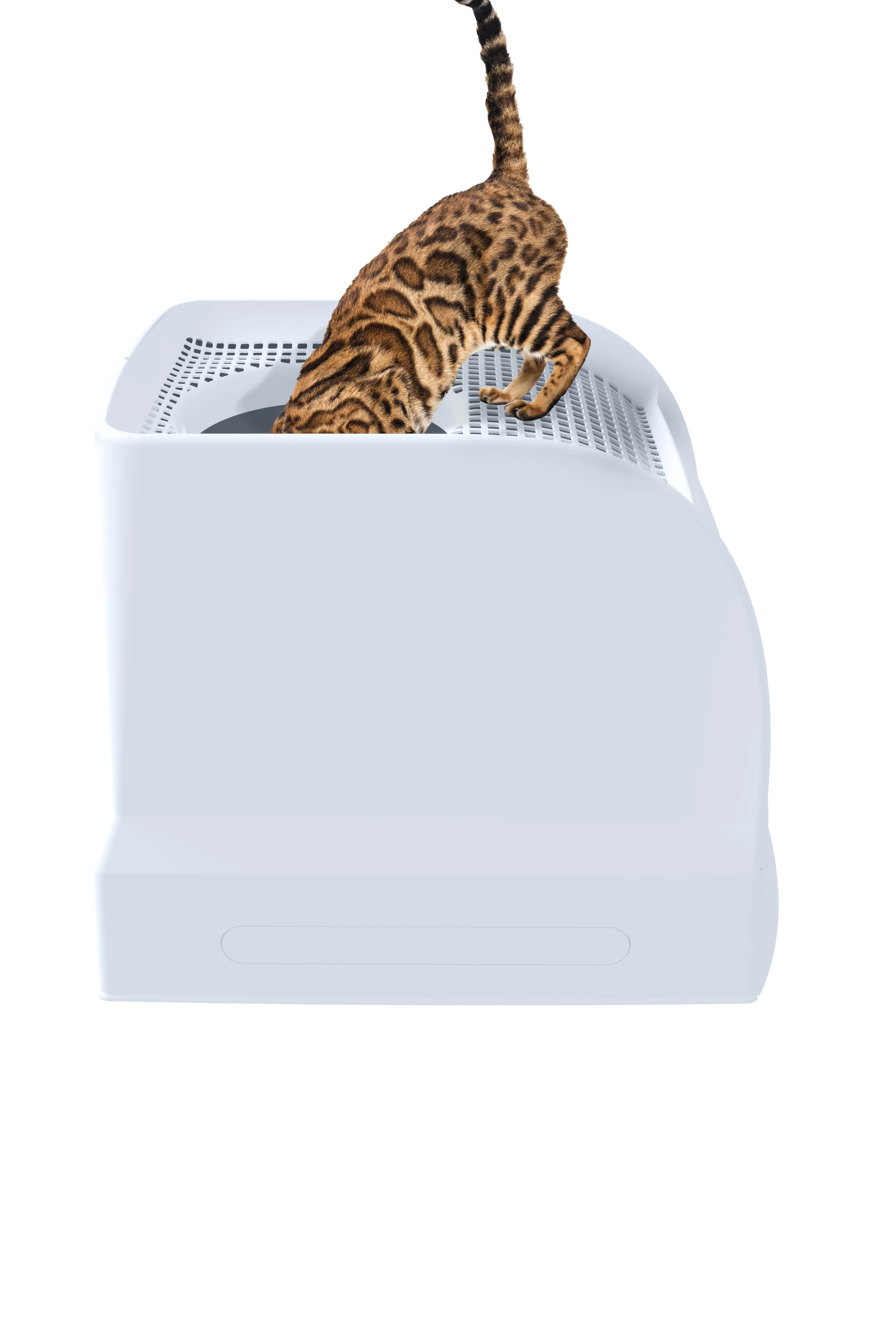 IMAC Frida Light  Blue Cat Litter Box Pets Qatar