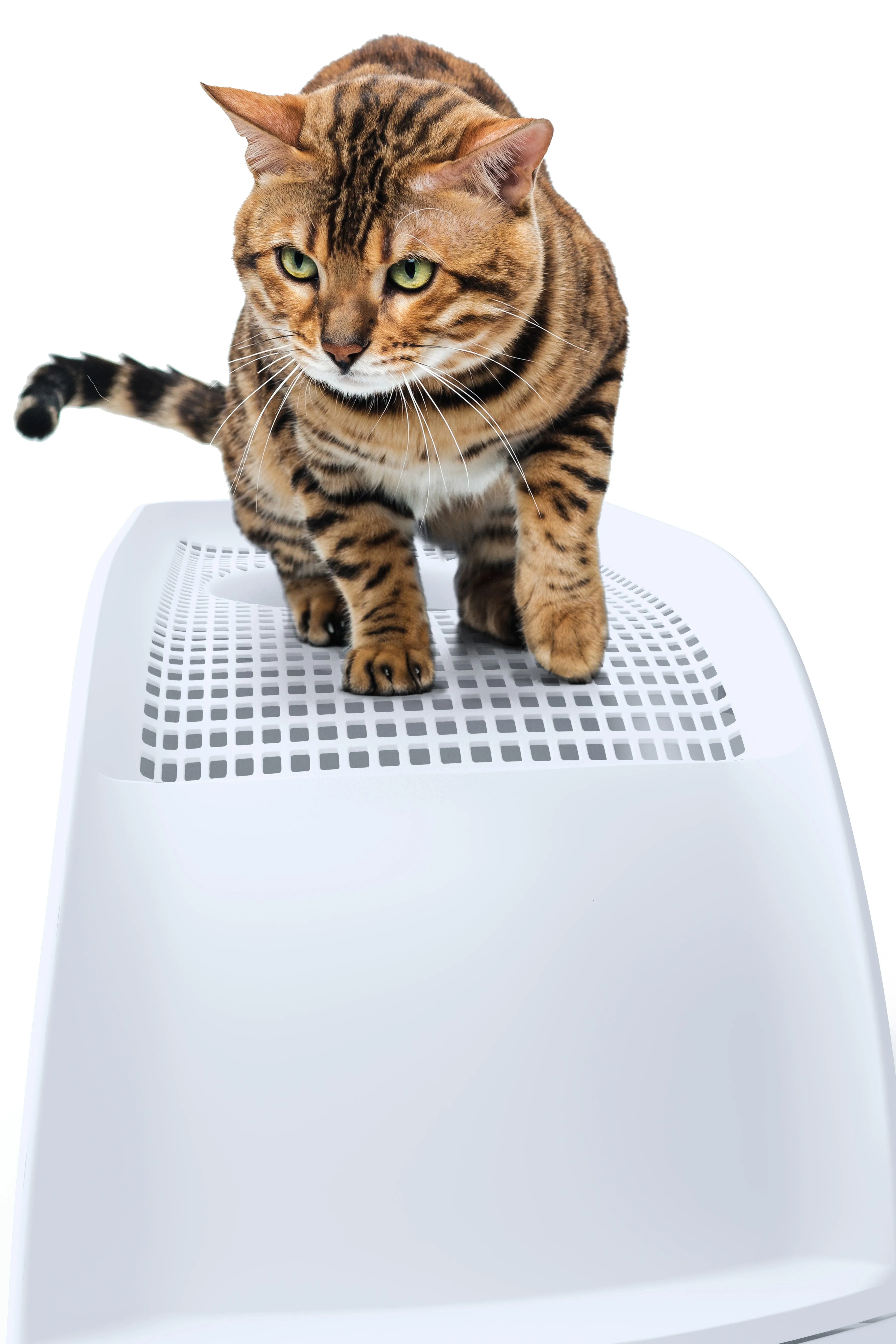 IMAC Frida Light  Blue Cat Litter Box Pets Qatar