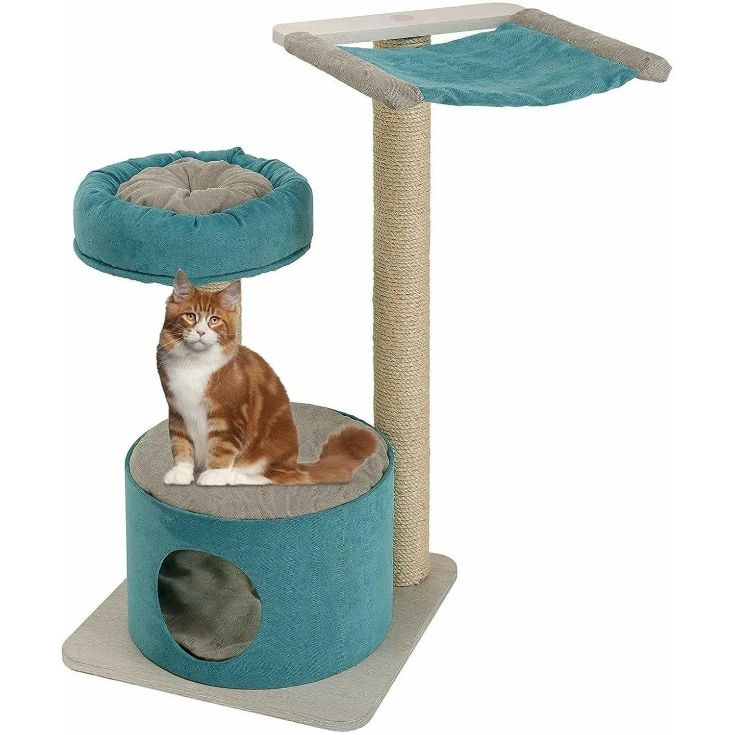 Jago Saltagatto Pets Qatar