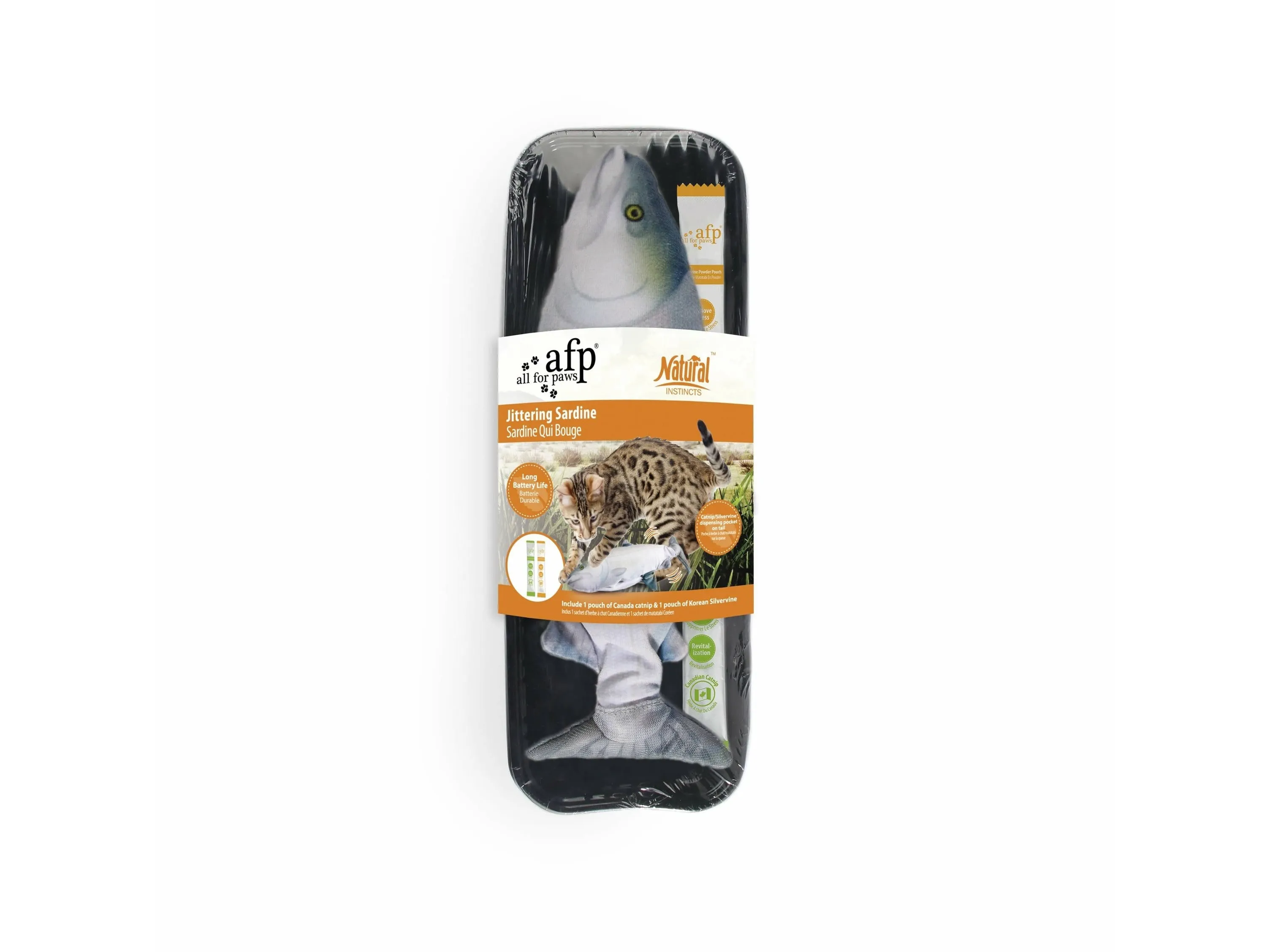 Jittering Fish Sardine Pets Qatar
