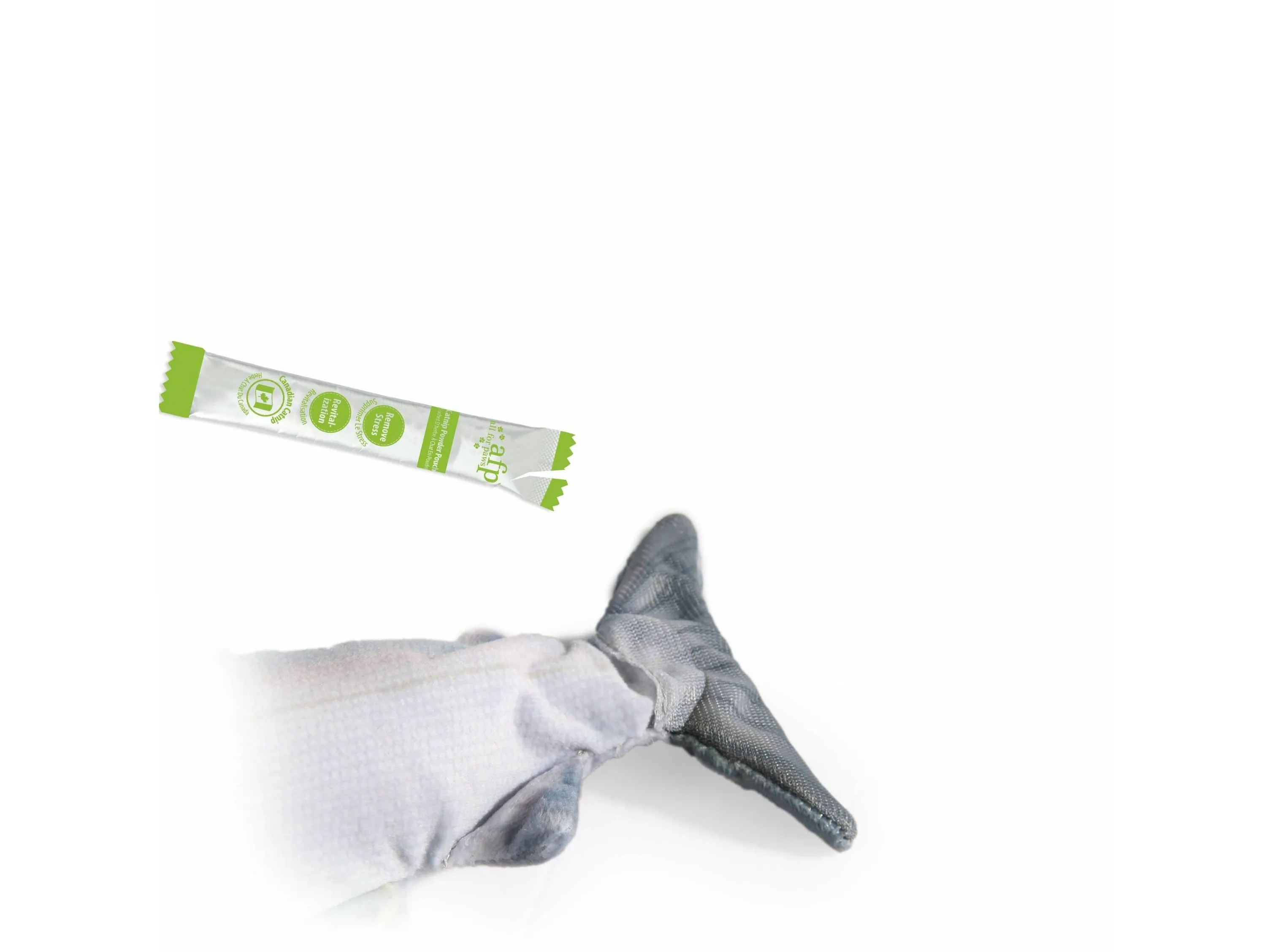 Jittering Fish Sardine Pets Qatar