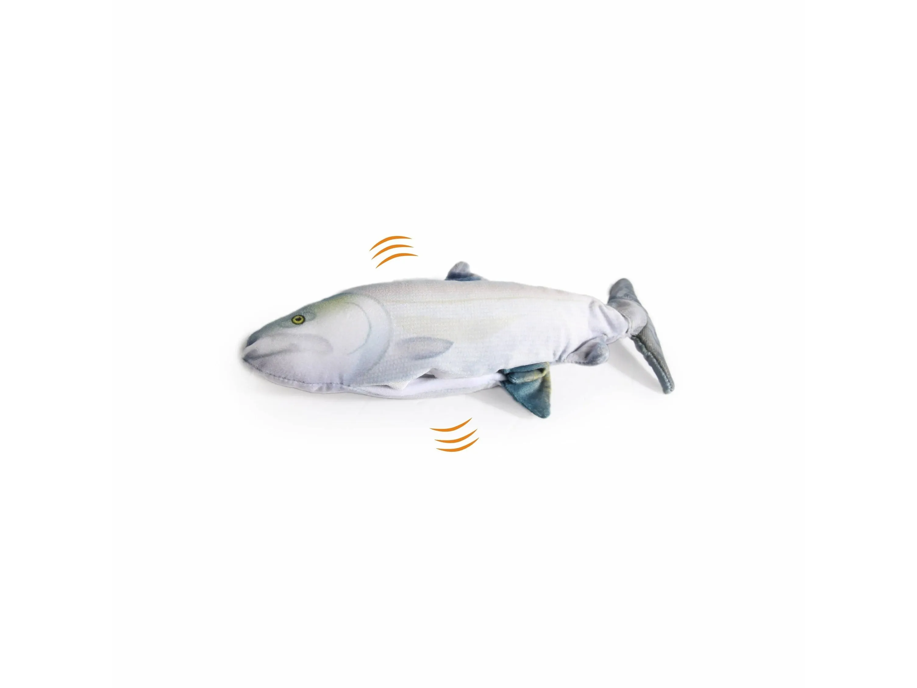 Jittering Fish Sardine Pets Qatar