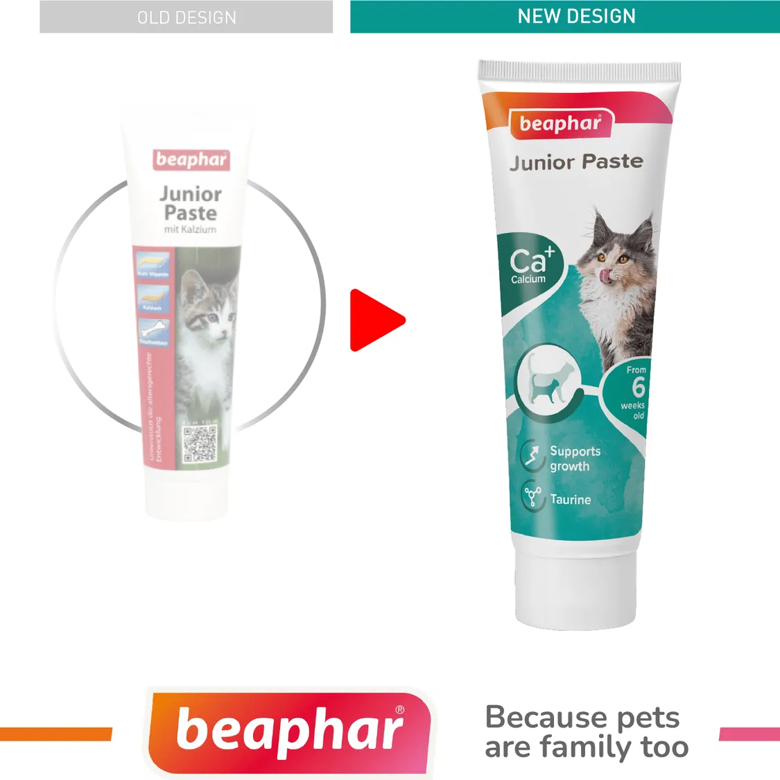 Junior Paste - Cat / 100 g Pets Qatar