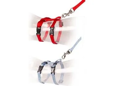 Kitten Walking Set Uni 15-25Cm / 8Mm-125Cm Mixed Colors Pets Qatar
