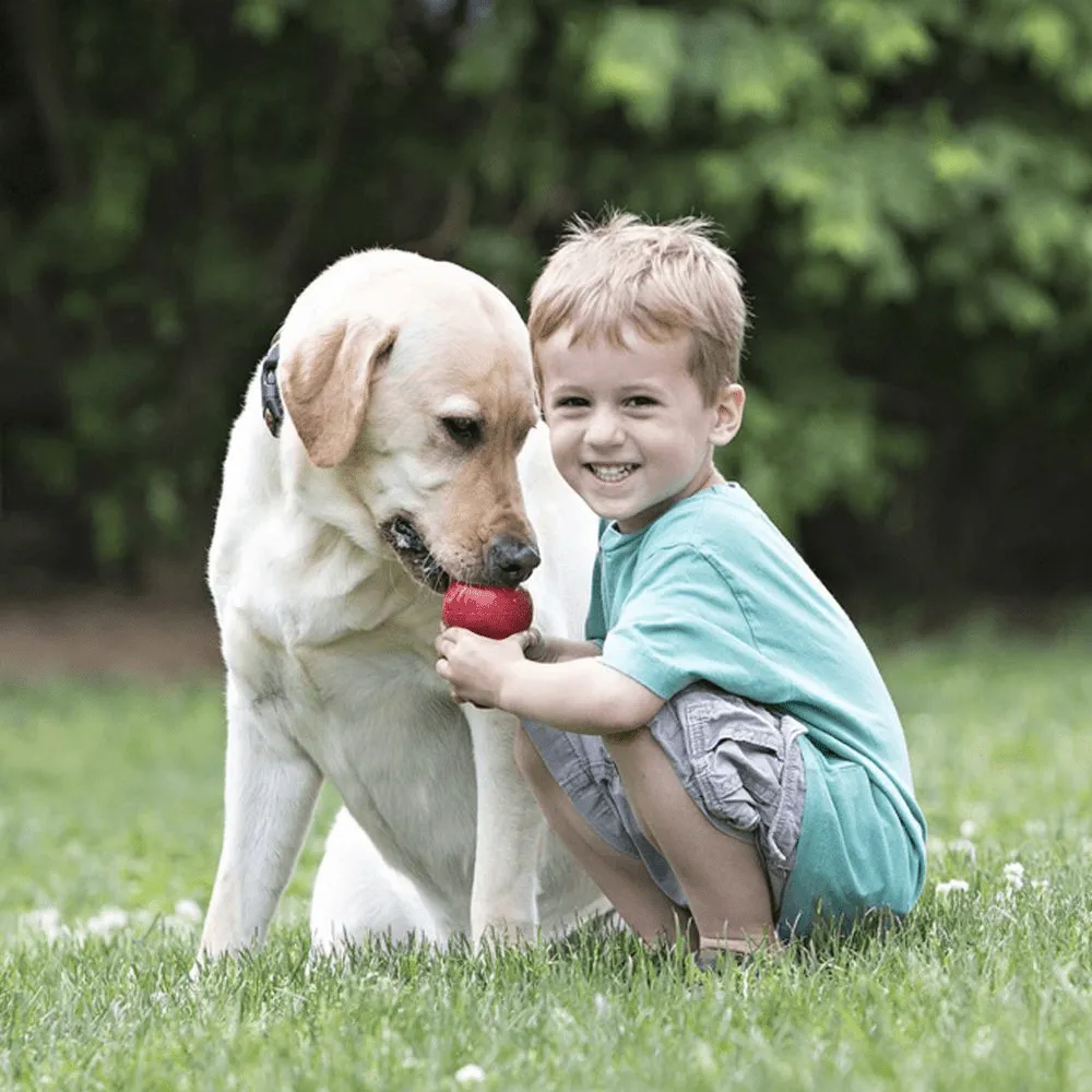 Kong Classic Toy for Dogs (Red) | For Aggressive Chewers