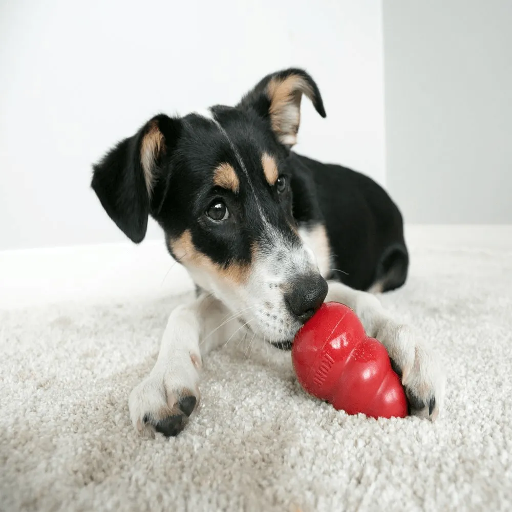 Kong Classic Toy for Dogs (Red) | For Aggressive Chewers