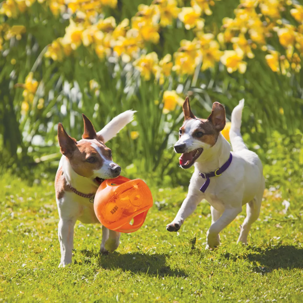 Kong Jumbler Interactive Squeaky Toy for Dogs (Orange)