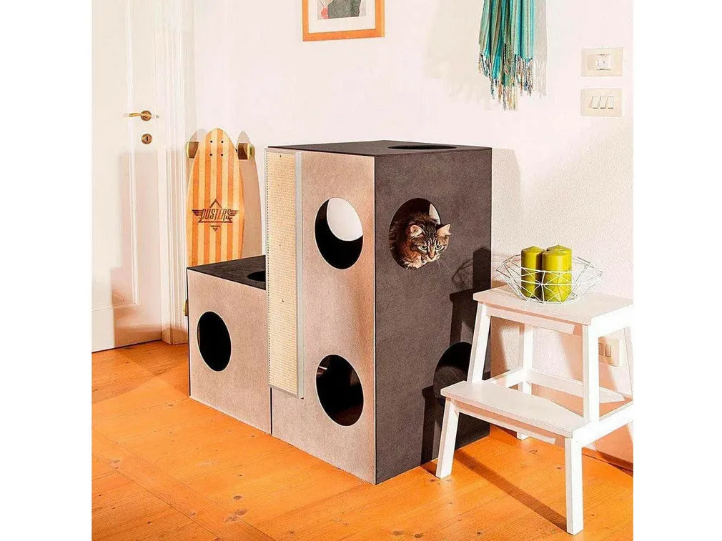 Kubo 1 Cat Jump Pets Qatar