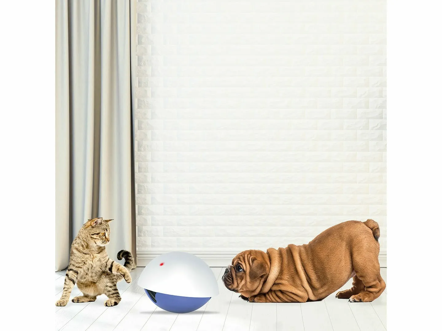 LASER `N SNACK TOY 19x19x15cm white/blue Pets Qatar