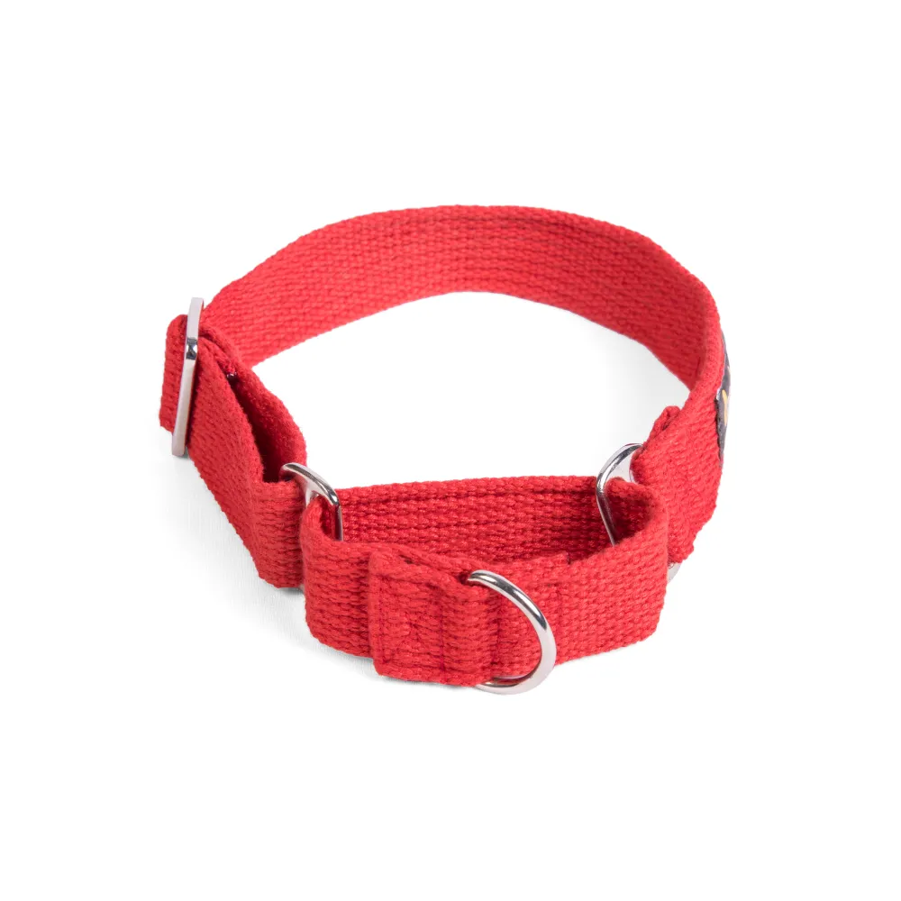 Let's Wag Martingale Collar for Dogs (Red)