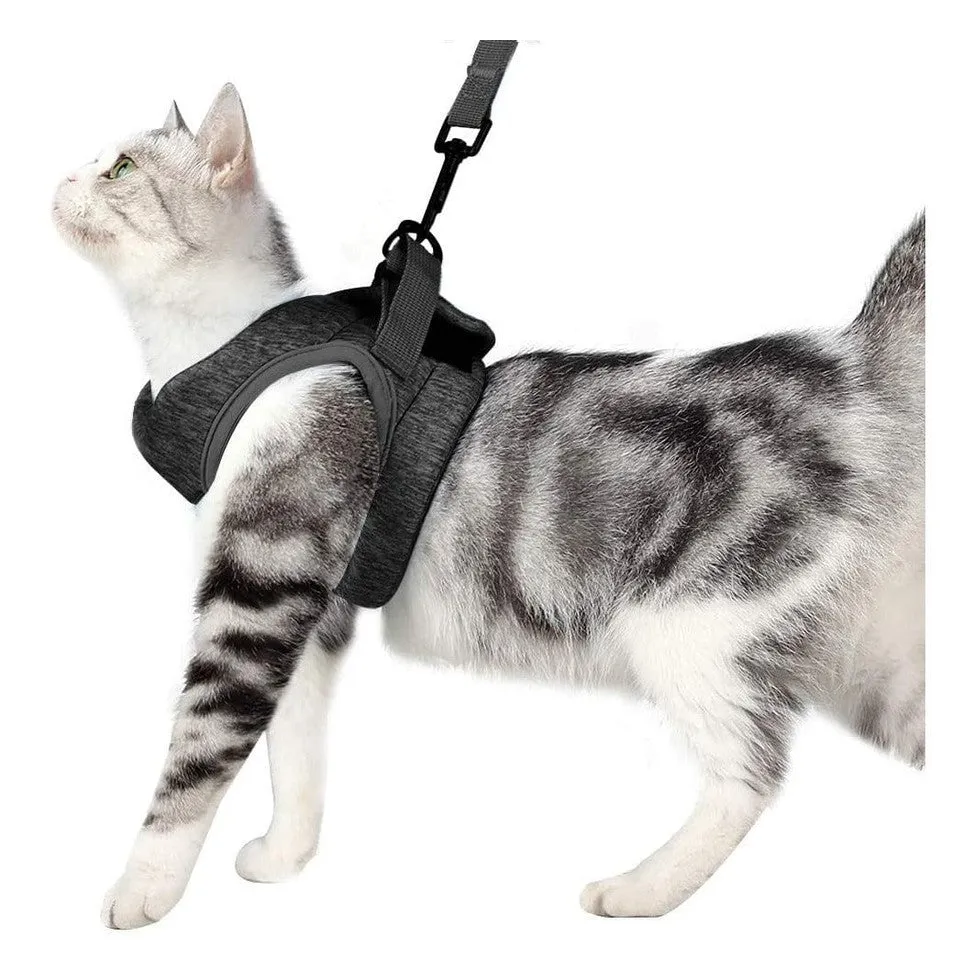 LETSGO Cat Harness & Leash Set -  Black Pets Qatar