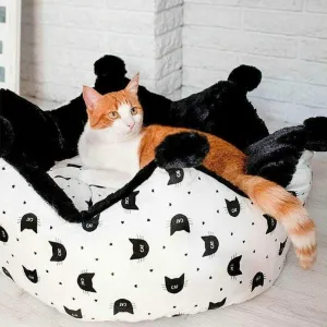 MIKADO CUCCIA Pets Qatar