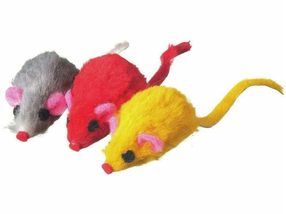 Mini Coloured Mice (6Pc) Pets Qatar