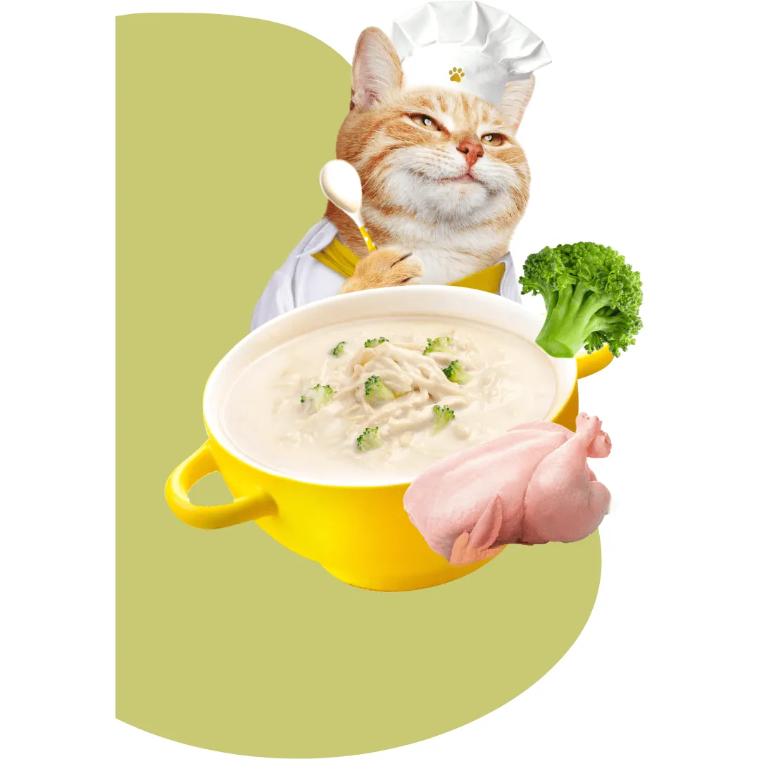 Moochie Broth Chicken & Broccoli 16x40g Pouchs Pets Qatar