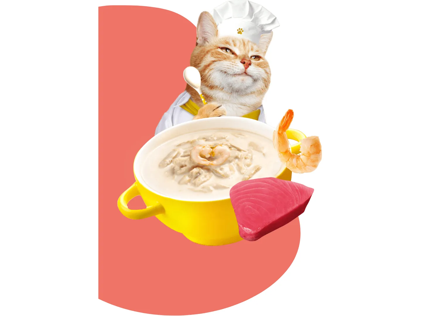 Moochie Broth TUNA & Shrimp 16x40g Pouchs Pets Qatar