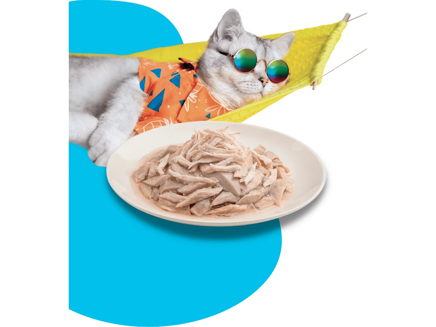 Moochie Meaty Tuna & Chicken Breast Recipe in Jelly 12x70g Pouchs Pets Qatar