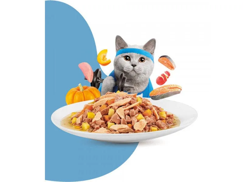 MOOCHIE MINCE WITH SALMON (WEIGHT CONTROL)12x70g Pouchs Pets Qatar