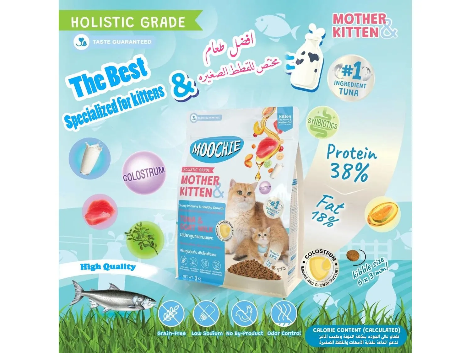 MOOCHIE MOTHER & KITTEN CAT FOOD TUNA & GOAT MILK FLAVOUR 1.2kg Pets Qatar
