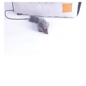 MOON Igloo Pets Qatar