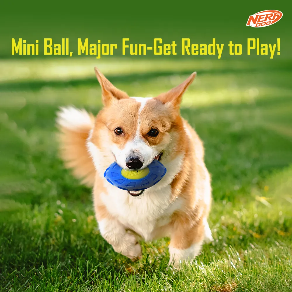 Nerf Bash EXO Micro Squeak Football Toy for Dogs (Blue/Green)