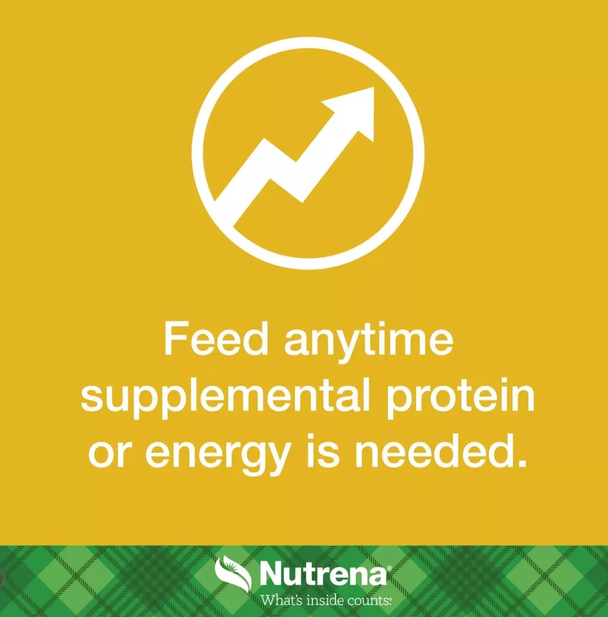 Nutrena NutreBeef 15% Commodity Pelleted Cattle Feed, 50 lb. Bag