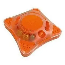 ORBIT ORANGE Pets Qatar